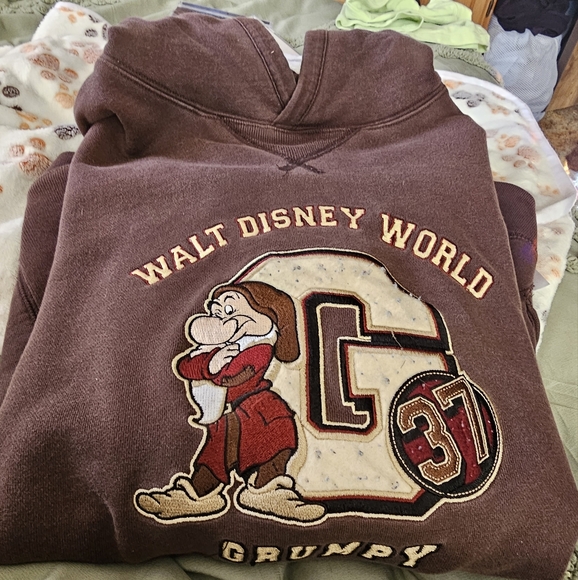 Walt Disney World Grumpy Hoodie. - Picture 1 of 8